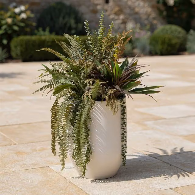 Scottish Everlastings Ltd Mixed Fern and Agave Potted Plant in a Green Oval Ceramic Container – 1