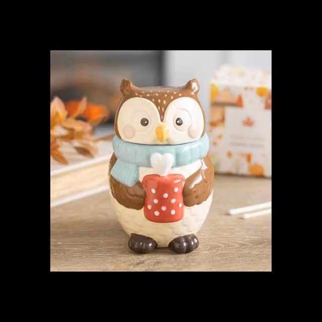 KDMD Oliver Owl Multicolour Ceramic Oil Burner for Fragrance Oil