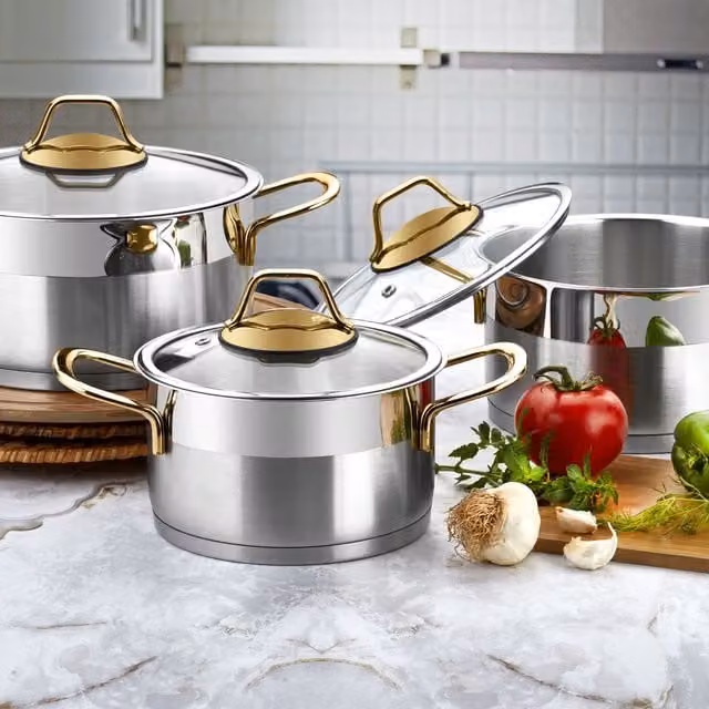 Evimsaray Luna Series 6-Piece Stainless Steel Mini Cookware Set with Glass Lids and Gold Handles, Silver