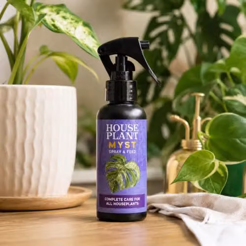 Houseplant Myst Spray and Feed Plant Tonic, 100ml, Purple – 3