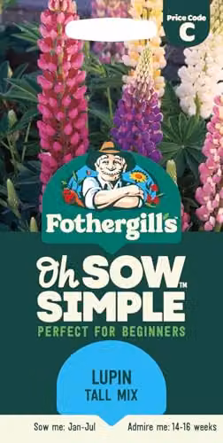 Mr Fothergill's Oh Sow Simple Lupin Tall Mix Flower Seeds in White, Blue and Purple