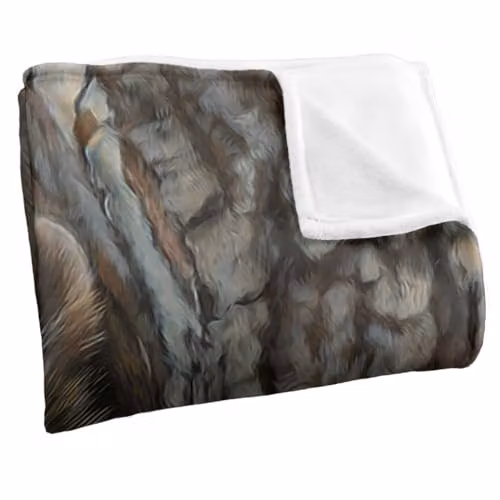 JQ Licensing Two Raccoons Silky Touch Super Soft Fleece Throw Blanket, White, W/D/H: 152 x 127 cm – 6