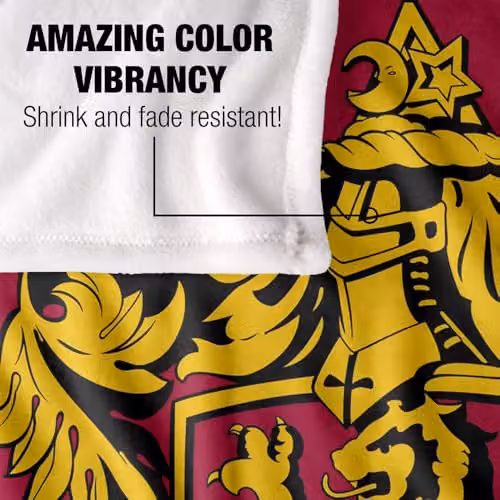 LOGOVISION Harry Potter Gryffindor Crest Super Soft Fleece Throw Blanket, Multicolour, W: 152.4 cm x D: 127.0 cm – 3