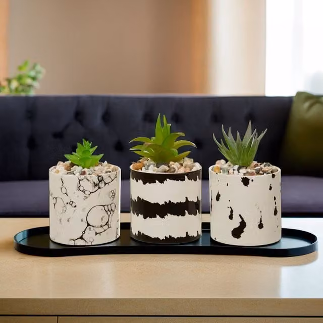 Premier Housewares Set of 3 Artificial Succulent Plants in White and Black Ceramic Pots, W/D/H: 8 x 8 x 7 cm – 1