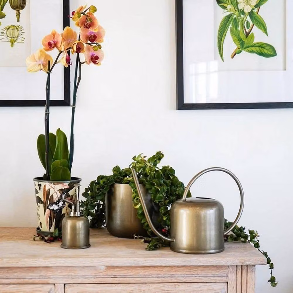 Lemon Pavilion Kew Metal Watering Can in Matt Brass Gold, W38 x D13.5 x H19 cm – 3