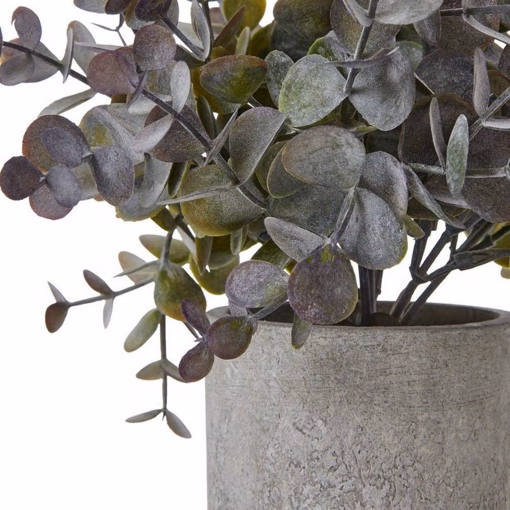 Lemon Pavilion Furniture and Decor Small Potted Eucalyptus Cinerea Plant, Green and Grey, Height: 22 cm – 2