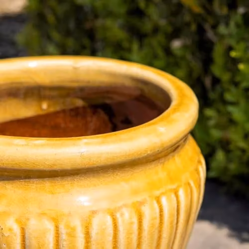 Primrose Yellow Terracotta Round Planter, Height: 22 cm, Diameter: 25 cm – 3