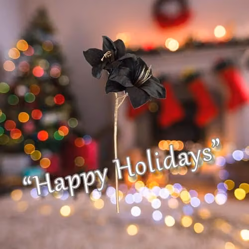 VFM e-Store Black Amaryllis Christmas Spray Decoration, H 56 cm x W 22 cm – 3
