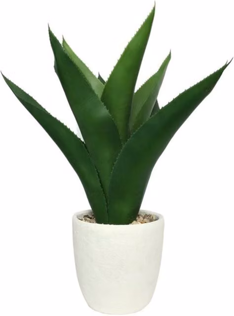 KDMD White Botanica Potted Agave Ceramic Succulent Tabletop Decor