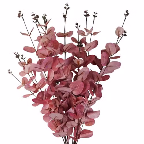 Pink Eucalyptus Leaf Design Artificial Flowers, 80 cm