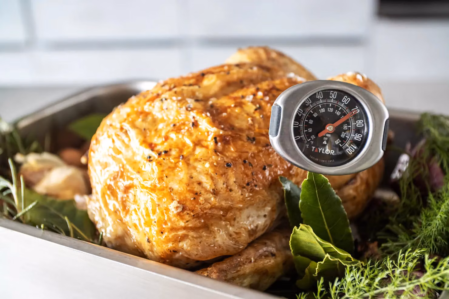 Taylor Pro Stainless Steel Meat Thermometer Probe in Black, W/D/H: 15.5 x 4.5 x 3.5 cm – 3