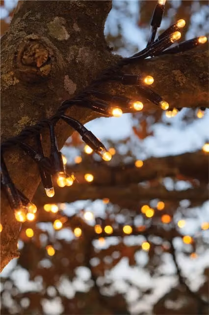 Xmas Haus LED Christmas Cluster Lights in Black with Copper and Gold/Brass Rubber Finish, IP65, 10m – 1