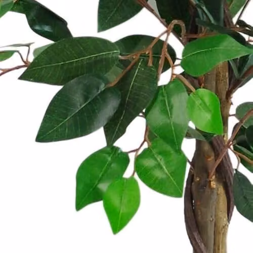 Leaf Design UK Realistic Artificial Twist Ficus Tree, Green, Height: 110 cm – 2
