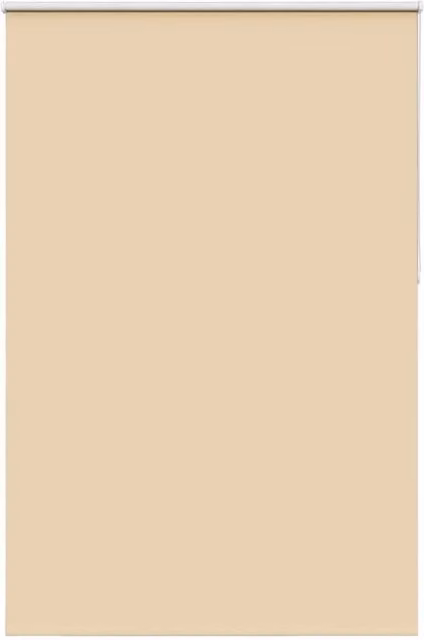 Berkfield Home Blackout Roller Blind in Beige, Thermal Insulating Polyester, W: 165 cm, H: 210 cm