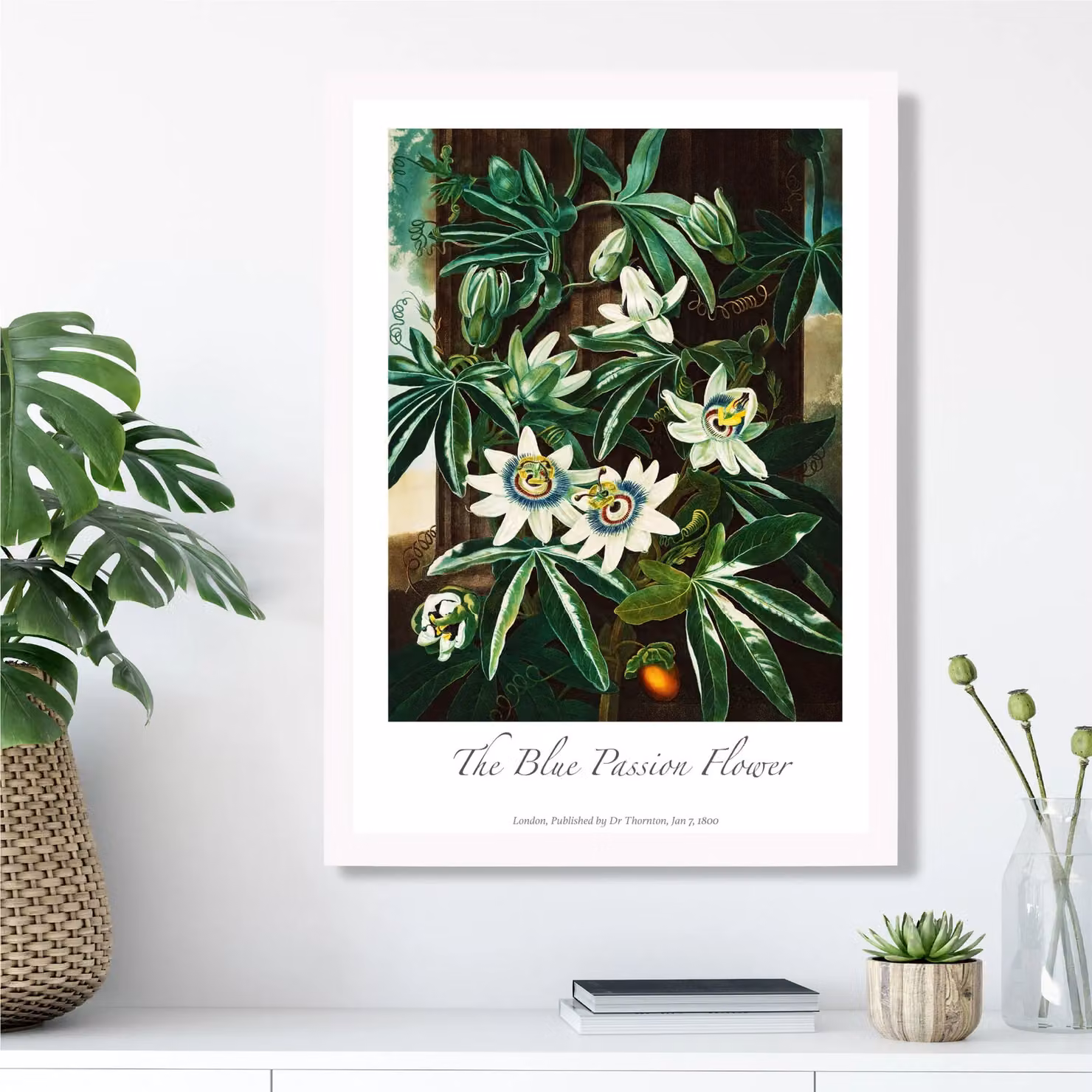 ARTZE Blue Passion Flower Framed Botanical Floral Print in Green and White – 2