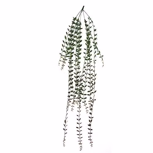 Leaf Green Artificial Hanging String of Pearls Plant