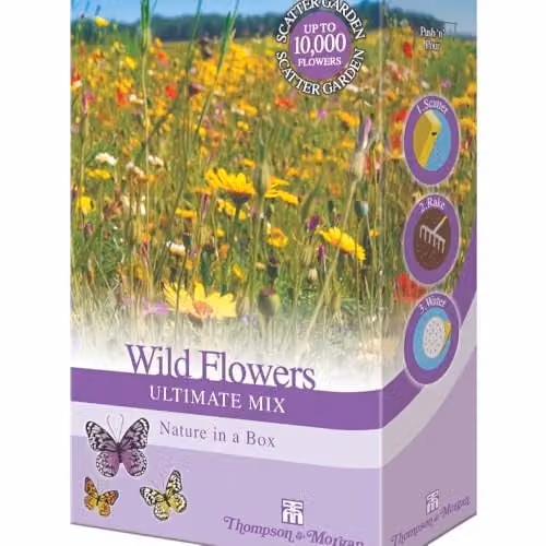 Thompson & Morgan Wild Flower Seed Ultimate Mix, 200g Multicolour Scatter Pack for Ornamental Gardens