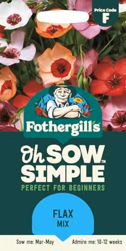 Mr Fothergill's Oh Sow Simple Blue Flax Flower Seeds – 1