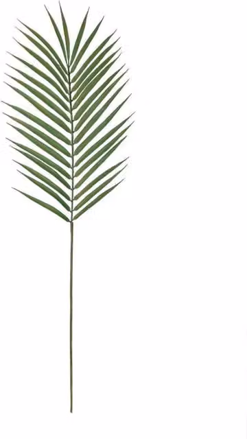 KDMD Green Long Stemmed Palm Leaves, 6 Pack