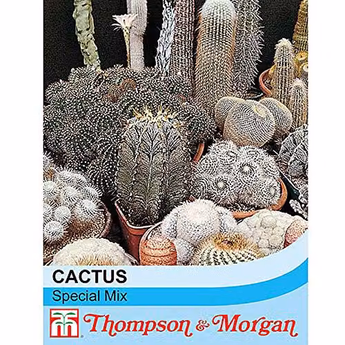 Thompson and Morgan Cactus Special Mix Seeds, 80 Seeds for Indoor Flowering Plants – 1