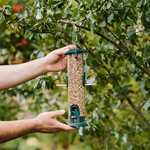 Westland Peckish All Weather Metal Bird Seed Feeder, Large, Green and Silver – 2