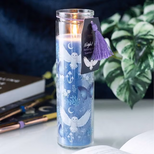 Kingsbury Gifts Night Owl Lavender Scented Glass Jar Candle in Purple and Blue