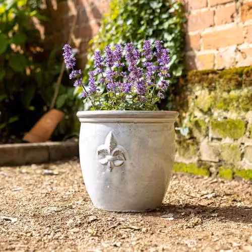 Primrose Medium Stoneware Debossed Logo Round Planter in White/Beige, Diameter: 34 cm – 3