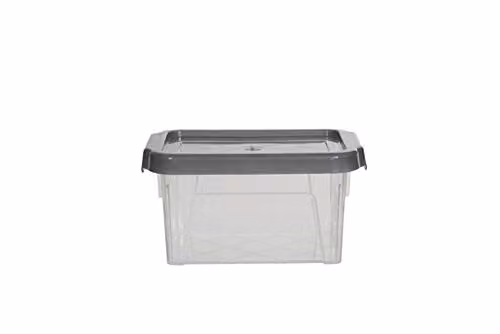 Whitefurze Spacemaster Extra Storage Box with Lid, Silver and Transparent, 0.4 l