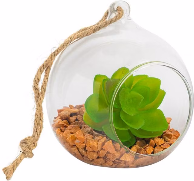 Nicola Spring Round Hanging Glass Terrarium in Transparent Yellow