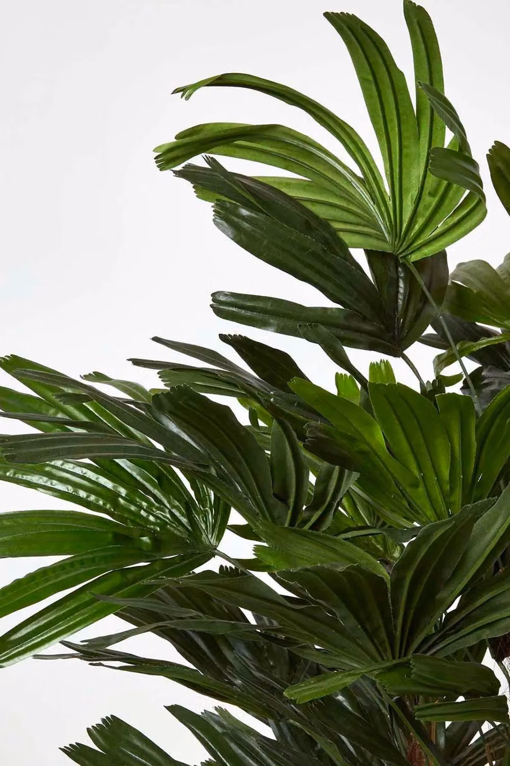 Homescapes Artificial Rhapis Excelsa Palm Tree in Green, Height: 150 cm – 3