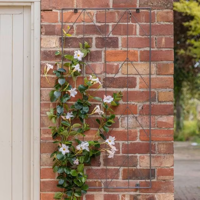 Ivyline Herringbone Trellis Zinc Metal Support, H: 120 cm, W: 60 cm