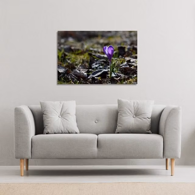 Benjamin Tate Design LTD Autumn Flower Bloom in Nature Canvas Print, Purple, W: 61 cm, H: 41 cm