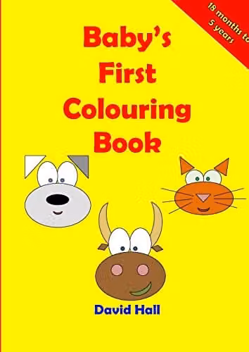 Lulu Baby's First Colouring Book, Multicolour Paper Book