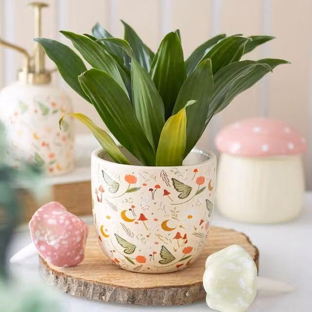 Uniqueful Multicolour Floral Fairy Folklore Ceramic Tabletop Plant Pot – 1
