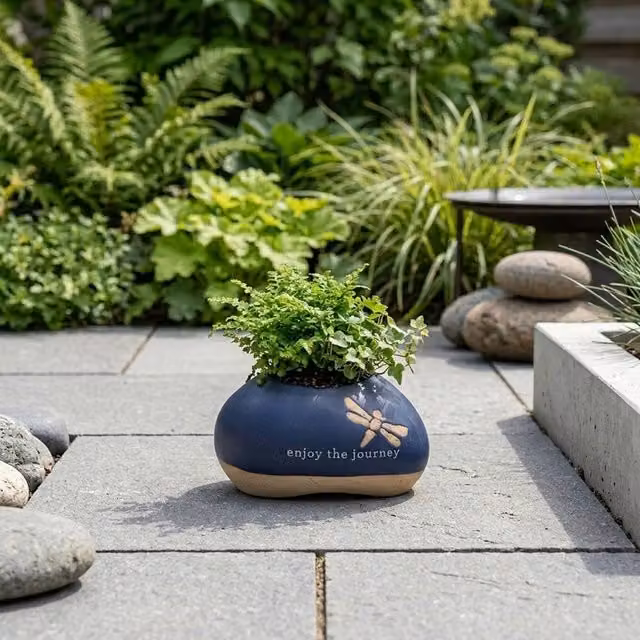 Garden Greatness Journey Dragonfly Ceramic Tabletop Planter Pot in Blue and Multicolour