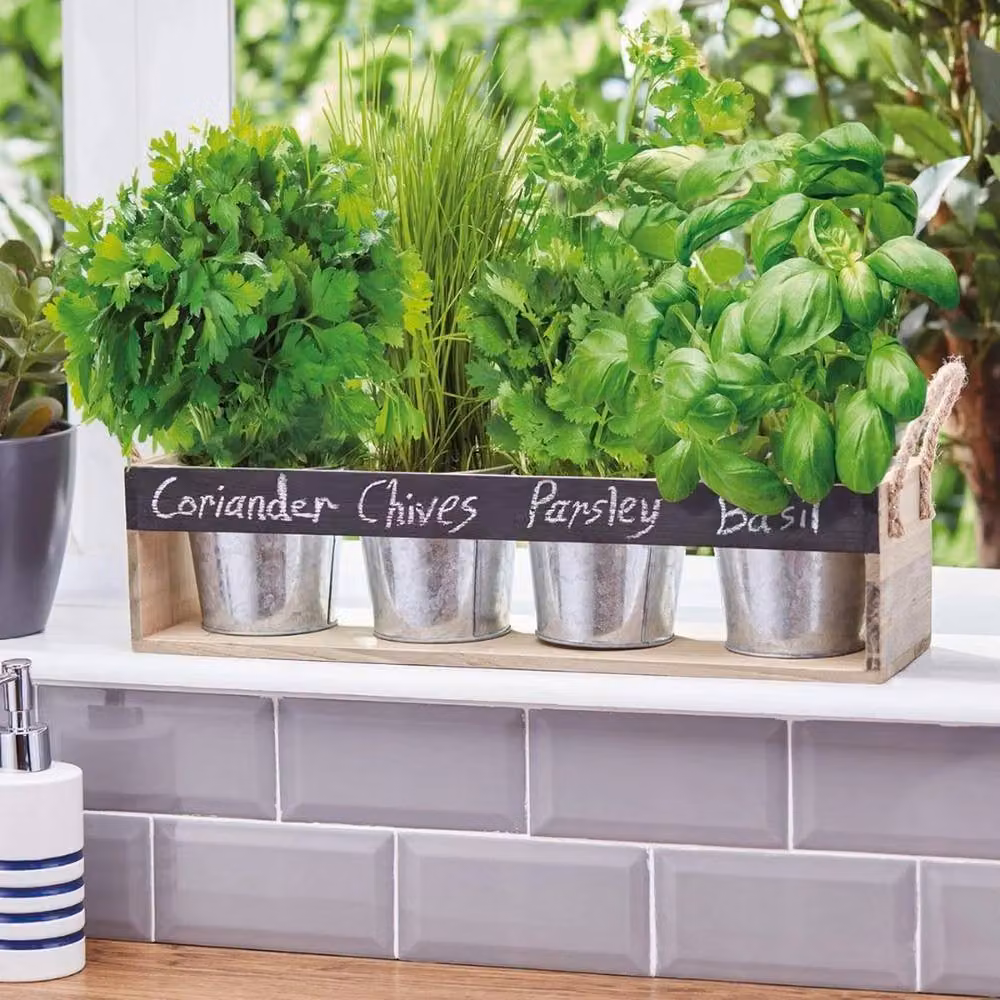 FLAVORA Herb Chalk Board Gift Set Window Box Growing Kit in Silver, 1.25kg – 2