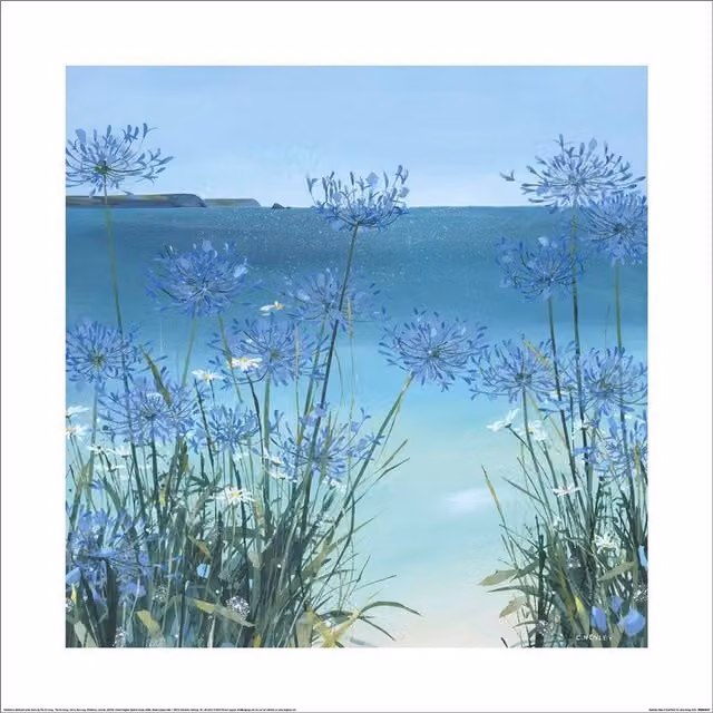 Claire Henley Summer View Of Gull Rock Paper Poster in Baby Blue