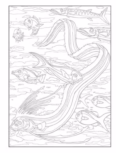 Creative Haven Sea Life Colour by Number Colouring Book by George Toufexis, Multicolour, Paper – 3