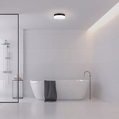 Netlighting FORLIGHT Giro LED Outdoor Flush Ceiling Light, Black, IP44 – 2