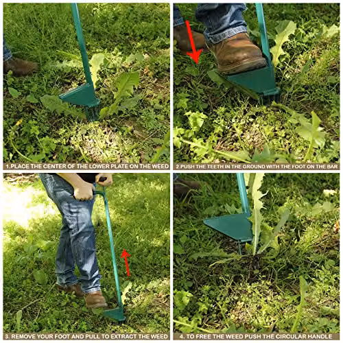 AMOS Steel Weed Puller Claw Green Long Handled Garden Tool – 2