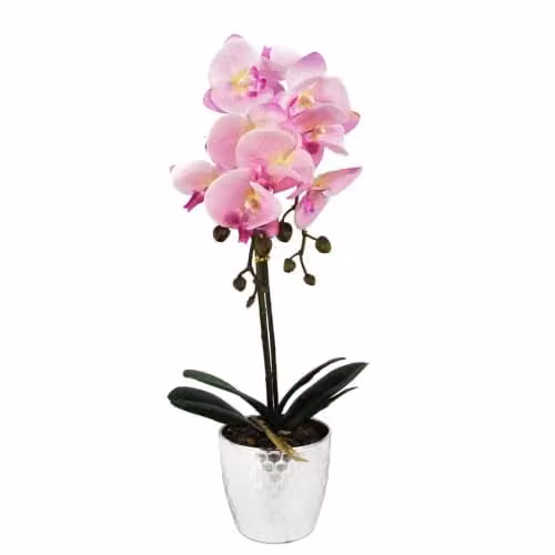 Leaf Design UK Potted Artificial Phalaenopsis Orchid in Light Pink and Silver, Height: 50 cm