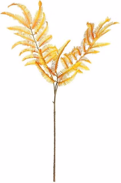 KDMD Yellow Botanica Fern Branch