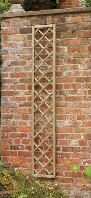 Forest Brown Wood Rebated Framed Lattice Trellis Support for Climbers, 30 cm