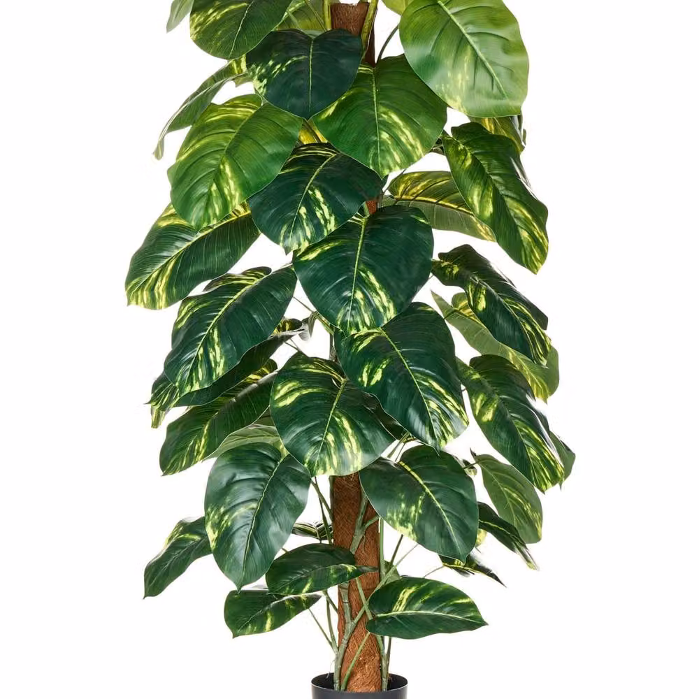 Wyld and Coco Green Dieffenbachia Artificial Potted Plant, Height: 152 cm – 2