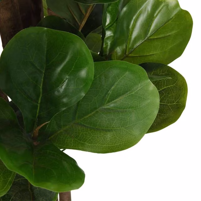 Berkfield Home Realistic Artificial Fiddle Leaf Fig Tree, Green, Height: 150 cm
