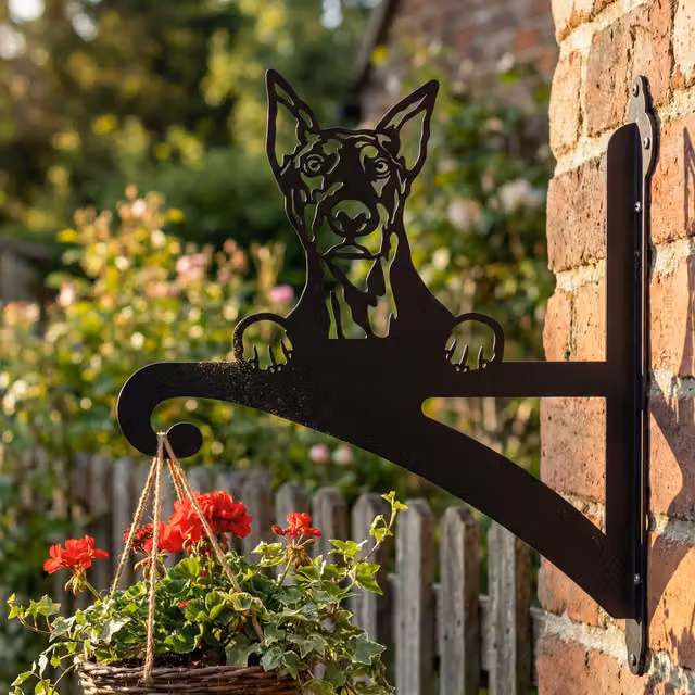 Laser Hut Doberman Hanging Basket Bracket in Black Metal