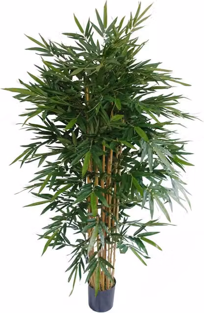Botanik UK Premium UV Resistant Green Bamboo Tree