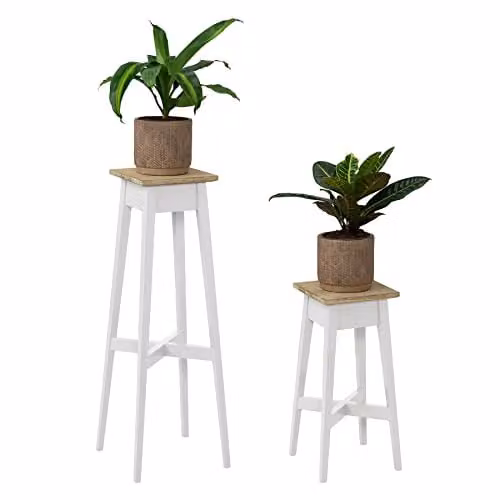 Statement Furniture Florence Set of 2 Acacia Wood Indoor Plant Stands in White, H: 80 cm and H: 28 cm
