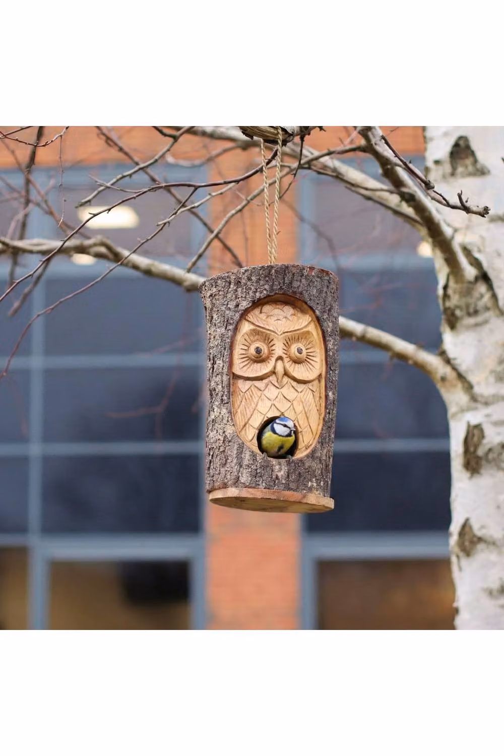 KDMD Wise Owl Bird House in Brown with Rustic Tree Trunk Face – 4