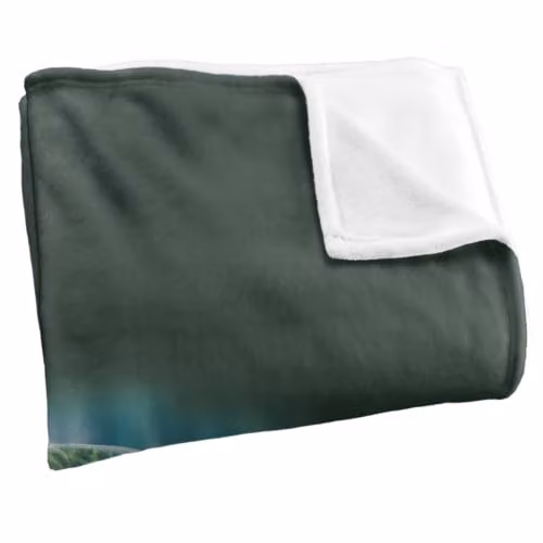 JQ Licensing Manatees Silky Touch Super Soft Fleece Throw Blanket, Multicolour, W/D/H: 91 x 147 cm – 2